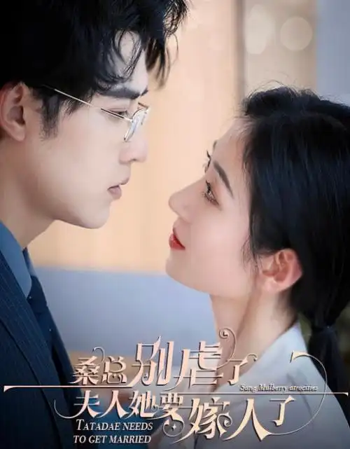归棹 手机免费在线观看